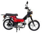 e-shop zdarma