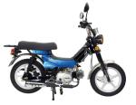 e-shop zdarma